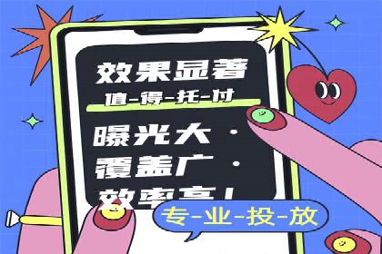 SEM代理助力品牌：案例解析与优化策略